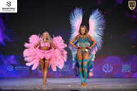 Кубок Ивановской области по бодибилдингу - 2026