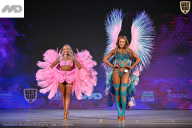 Кубок Ивановской области по бодибилдингу - 2026