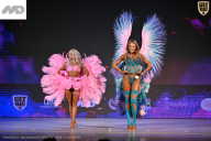 Кубок Ивановской области по бодибилдингу - 2026