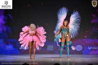 Кубок Ивановской области по бодибилдингу - 2026