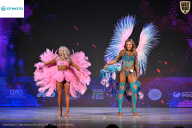 Кубок Ивановской области по бодибилдингу - 2026