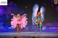 Кубок Ивановской области по бодибилдингу - 2026