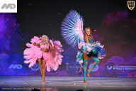 Кубок Ивановской области по бодибилдингу - 2026