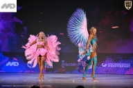 Кубок Ивановской области по бодибилдингу - 2026