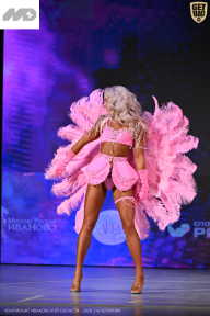 Кубок Ивановской области по бодибилдингу - 2026