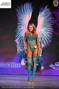 Кубок Ивановской области по бодибилдингу - 2026