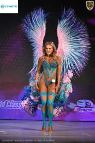 Кубок Ивановской области по бодибилдингу - 2026