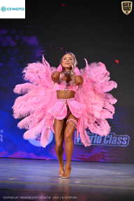 Кубок Ивановской области по бодибилдингу - 2026