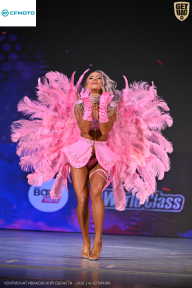 Кубок Ивановской области по бодибилдингу - 2026