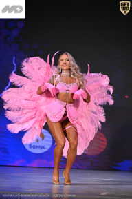 Кубок Ивановской области по бодибилдингу - 2026