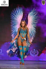 Кубок Ивановской области по бодибилдингу - 2026