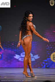 Кубок Ивановской области по бодибилдингу - 2026