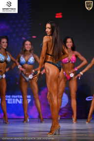 Кубок Ивановской области по бодибилдингу - 2026