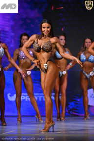 Кубок Ивановской области по бодибилдингу - 2026