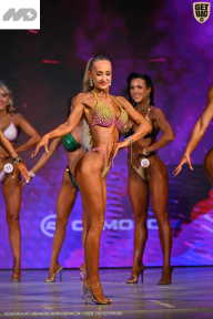 Кубок Ивановской области по бодибилдингу - 2026