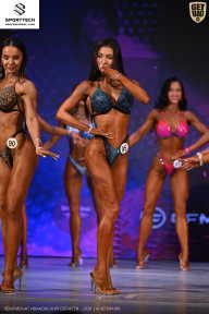 Кубок Ивановской области по бодибилдингу - 2026