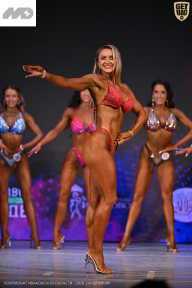 Кубок Ивановской области по бодибилдингу - 2026