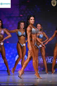 Кубок Ивановской области по бодибилдингу - 2026