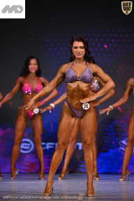 Кубок Ивановской области по бодибилдингу - 2026