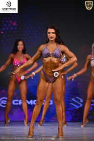 Кубок Ивановской области по бодибилдингу - 2026