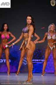 Кубок Ивановской области по бодибилдингу - 2026