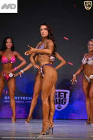 Кубок Ивановской области по бодибилдингу - 2026