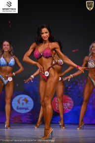 Кубок Ивановской области по бодибилдингу - 2026