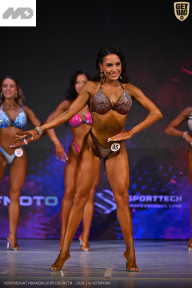 Кубок Ивановской области по бодибилдингу - 2026