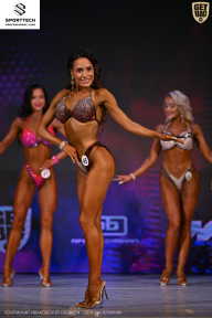 Кубок Ивановской области по бодибилдингу - 2026