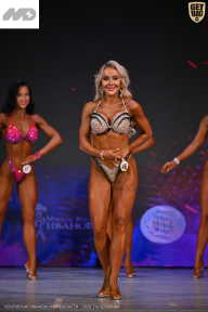 Кубок Ивановской области по бодибилдингу - 2026