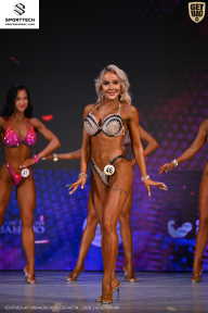 Кубок Ивановской области по бодибилдингу - 2026