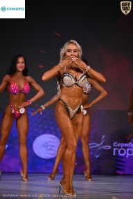 Кубок Ивановской области по бодибилдингу - 2026