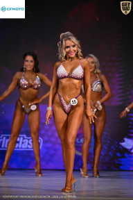 Кубок Ивановской области по бодибилдингу - 2026