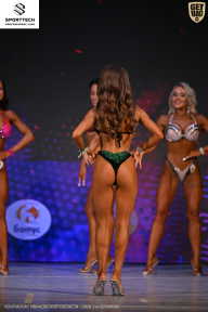 Кубок Ивановской области по бодибилдингу - 2026