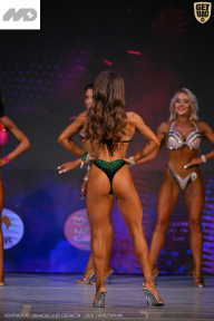 Кубок Ивановской области по бодибилдингу - 2026