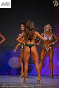 Кубок Ивановской области по бодибилдингу - 2026