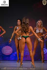 Кубок Ивановской области по бодибилдингу - 2026