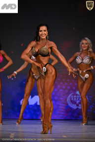 Кубок Ивановской области по бодибилдингу - 2026