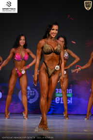 Кубок Ивановской области по бодибилдингу - 2026