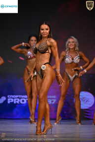 Кубок Ивановской области по бодибилдингу - 2026