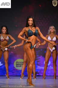 Кубок Ивановской области по бодибилдингу - 2026