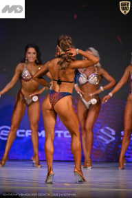 Кубок Ивановской области по бодибилдингу - 2026