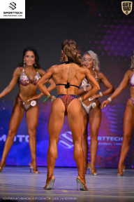 Кубок Ивановской области по бодибилдингу - 2026