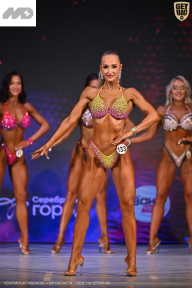 Кубок Ивановской области по бодибилдингу - 2026