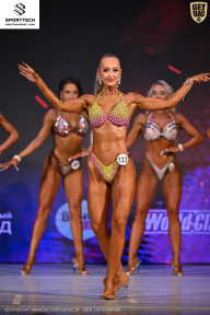 Кубок Ивановской области по бодибилдингу - 2026