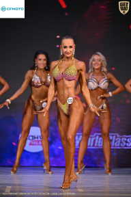 Кубок Ивановской области по бодибилдингу - 2026