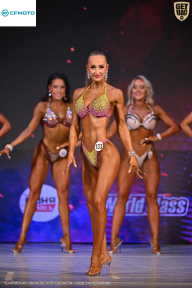 Кубок Ивановской области по бодибилдингу - 2026