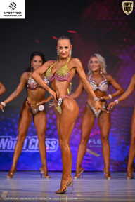 Кубок Ивановской области по бодибилдингу - 2026