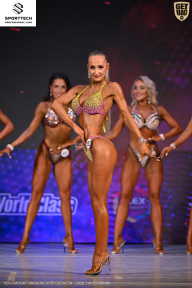 Кубок Ивановской области по бодибилдингу - 2026