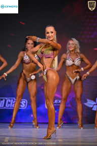 Кубок Ивановской области по бодибилдингу - 2026